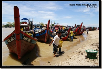 kuala muda14