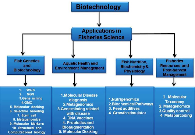 Biotechnology in fisheries 