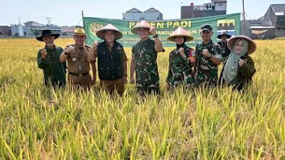 # HJKB 212, DKPP Panen Raya Padi 7 Ton Beras dari IP400 di Kecamatan Rancasari