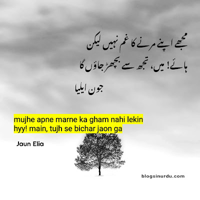 Jaun Elia Poetry