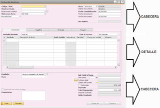 campos cabecera y detalle SAP