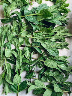 Mint stalks