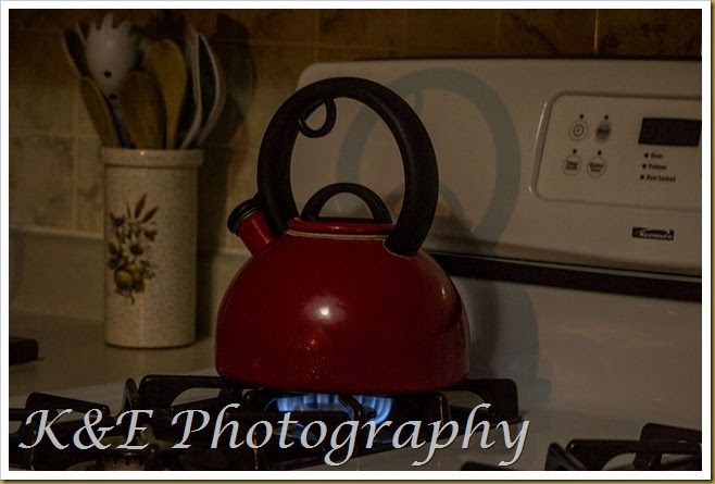 NOVEMBER 2014 (8 of 8)