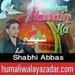 http://audionohay.blogspot.com/2014/10/shabhi-abbas-nohay-2015.html