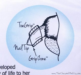 Diagram showing the ToeGrip, nail tip, and GripZone