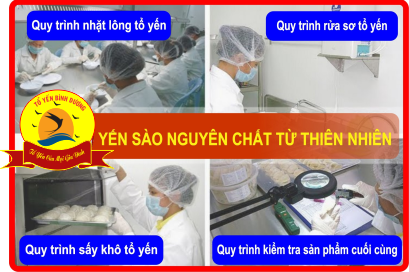 Giá tổ yến đã nhặt lông cao hơn tổ yến chưa nhặt lông bao nhiêu?