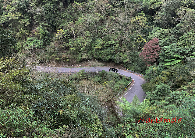 Daxueshan National Forest