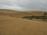 Písečné duny na Ninety Mile Beach.