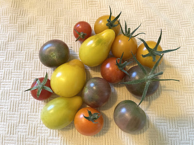 cherry tomatoes of various colors