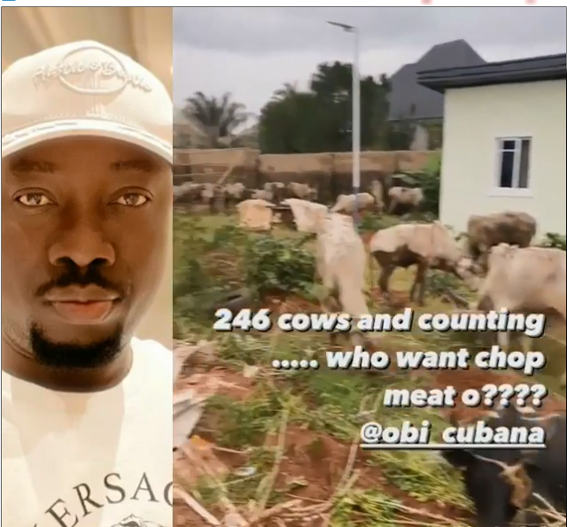 Girls Go Wild As Obi Cubana Buries His Mum With Over 246 Cows In Style