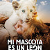 Ver - Mi Mascota es un Leon - Pelicula Completa Español Online