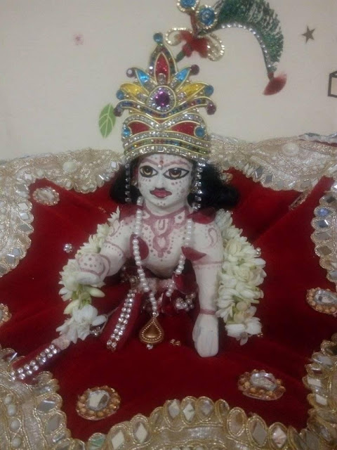 Kunj Bihari Ji, Kunj, Vrinda Kishori, Vrinda, Ladoo Gopal, Radha Rani