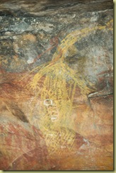 Iguana