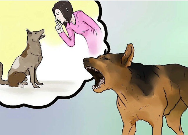 How to Train Your Dog to Stop Barking: A Step-by-Step Guide