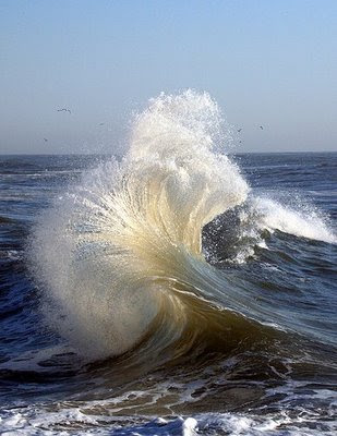 convection currents in mantle. convection current through