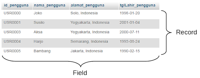 contoh gambar table record field pada database beserta pengertiannya