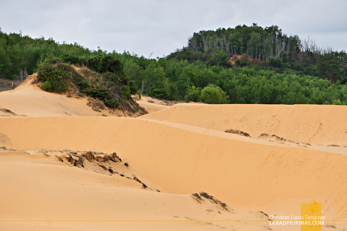 Red Sand Dunes Mui Ne Half Day Tour