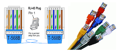 Network Cable