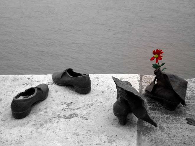 the lovers'decision ...