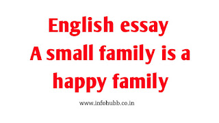 English essay a small family is a happy family, english essay