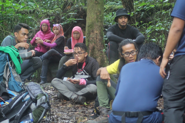 Cara Bertahan Hidup Dalam Keterbatasan Di Alam Bebas