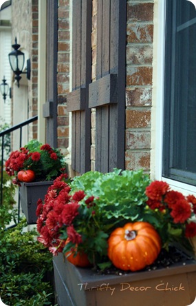 kale and mum window boxes