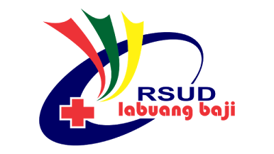 Logo RSUD Labuang Baji Vector Agus91