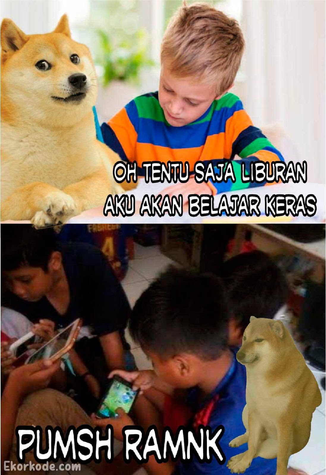 Cara Buat Meme Oh Tentu Saja Anjing Doge Picsay Pro Ekorkodecom
