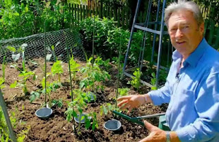 Alan Titchmarsh tomatoes