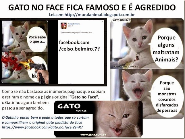 gatonoface