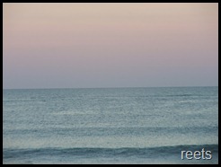 DSCF9730