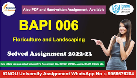 ts 6 solved assignment 2022-23; ignou solved assignment free of cos; guffo solved assignment 2021-22; eco 11 solved assignment 2021-22; mco 01 solved assignment 2021-22; ignou solved assignment 2020-21 free download pdf; besc 134 solved assignment 2021-22; acs 01 solved assignment 2021 guffo