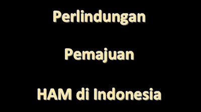  Siapa yg bertanggung jawab dalam upaya pemajuan Contoh Perlindungan dan Pemajuan HAM di Indonesia