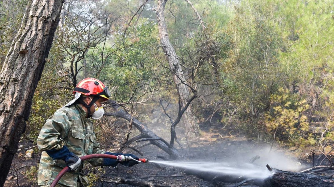Συνεχίζεται η μεγάλη μάχη των πυροσβεστικών δυνάμεων για την φωτιά στο Εθνικό Πάρκο της Δαδιάς με τον εκπρόσωπο τύπου του Πυροσβεστικού Σώματος, Επιπυραγό Ιωάννη Αρτοποιό, να επισημαίνει ότι η μάχη πλέον δίδεται με τις πολλές μικρές διάσπαρτες εστίες που βρίσκονται μέσα στον πυρήνα του Εθνικού Πάρκου.