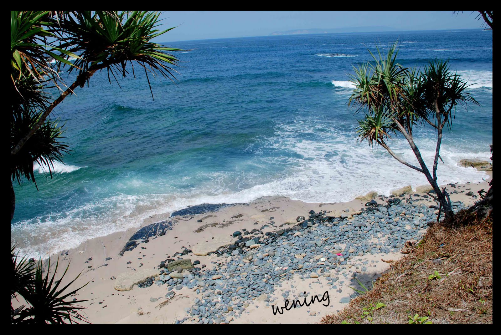 wening Pantai Papuma Jember 