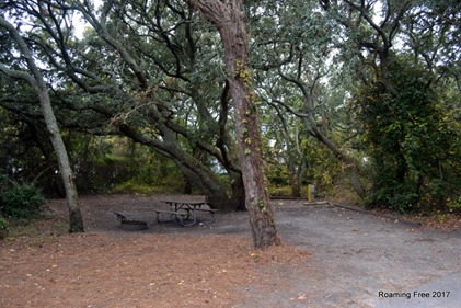 Campsites in the RV Loop