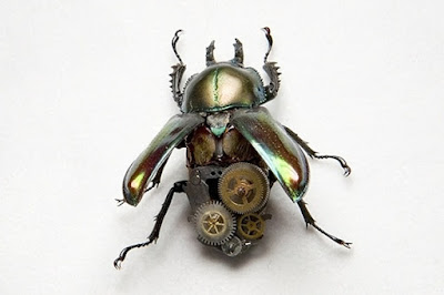 incredibly steampunk insect by Lindsay Bessanson