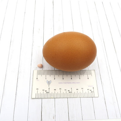 uovo in scala 1:12 e uovo vero