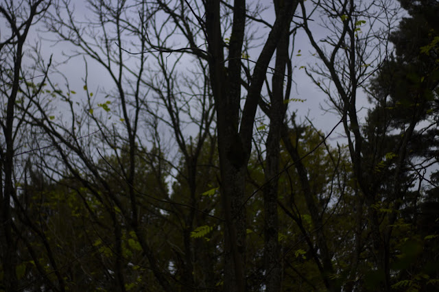 Autumn in Minsk park