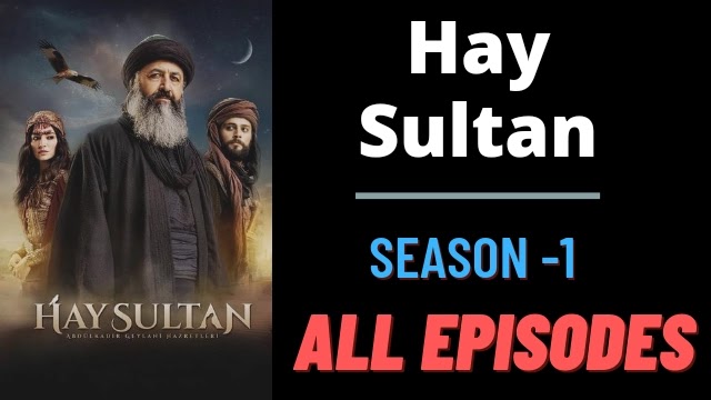 Hay Sultan Season 1 All Episodes With Urdu Subtitles