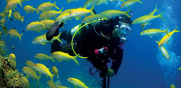 Australia, Scuba diving in Cairns, Australia Scuba diving in Cairns