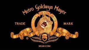 MGM Studios Internship 2023