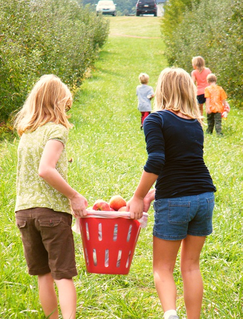 2010_1011applepicking0063