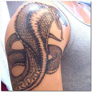 Snake Tattoo Designs