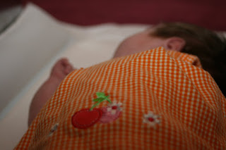 Free Live  Brother on Knit Jones  Baby Pics