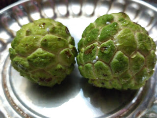 Custard apple