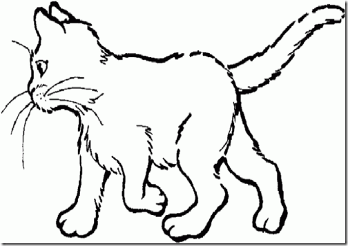 gatos colorear f (2)