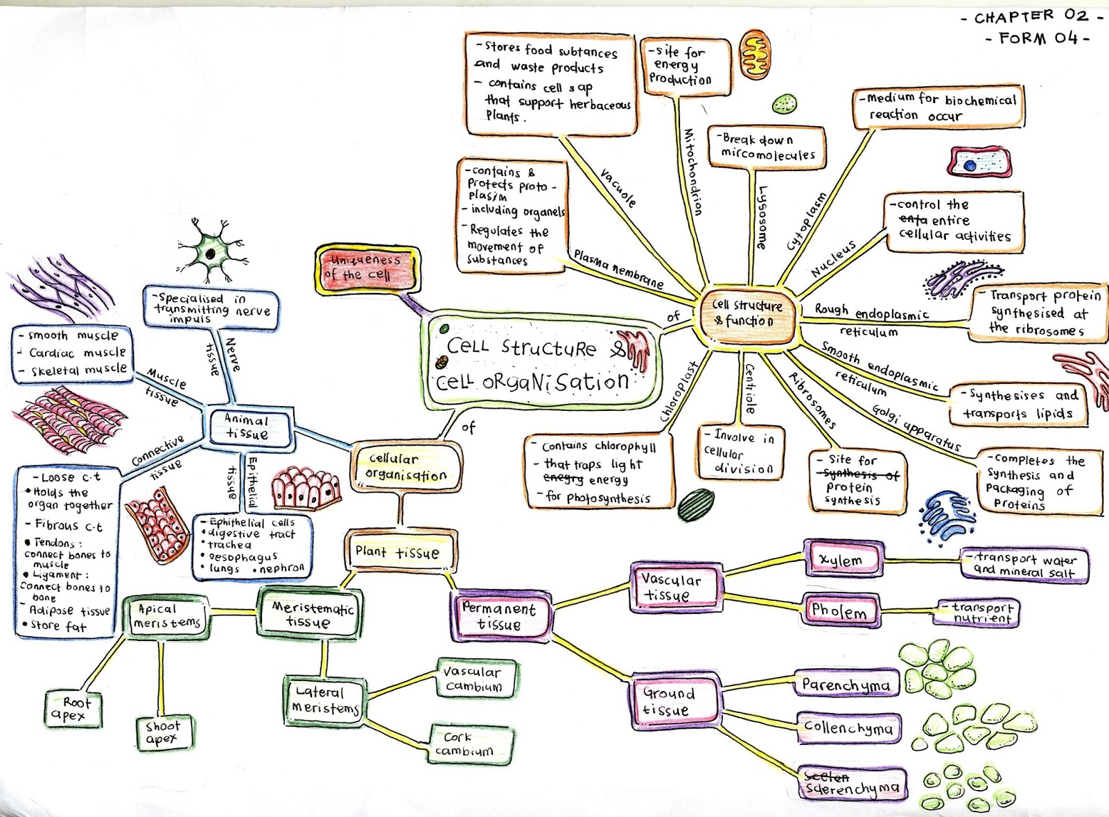 Biology A+: Nota Kreatif Biologi (Credit to Mr Shahril-Lizan)