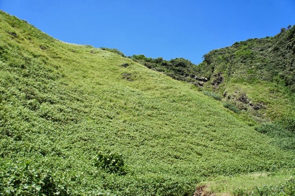 DSC05934