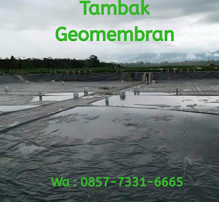 0857-7331-6665 Terima Jasa Pemasangan, Jual Beli Bahan Geomembran Untuk Tambak Udang,Embung, Limbah Dan Danau Buatan Di Malang, Mojokerto, Dan Kediri